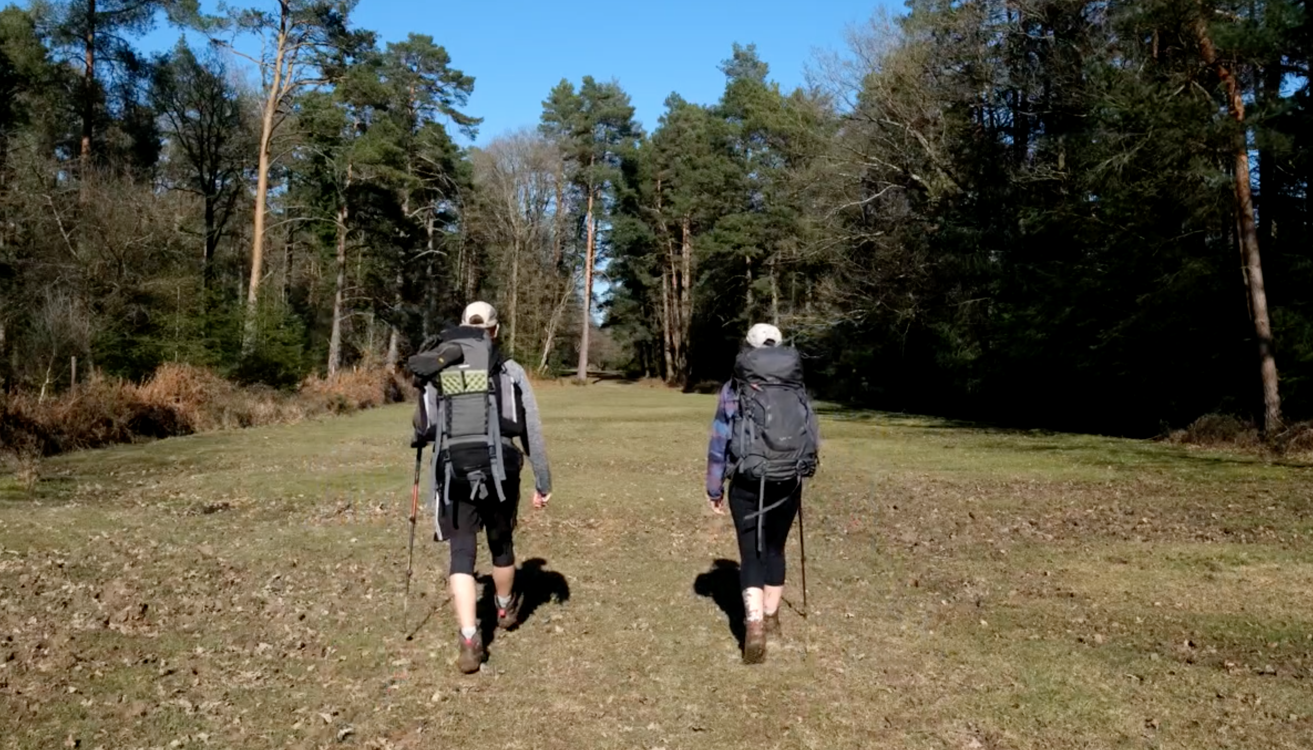 Video | Silent Hiking in a British Forest