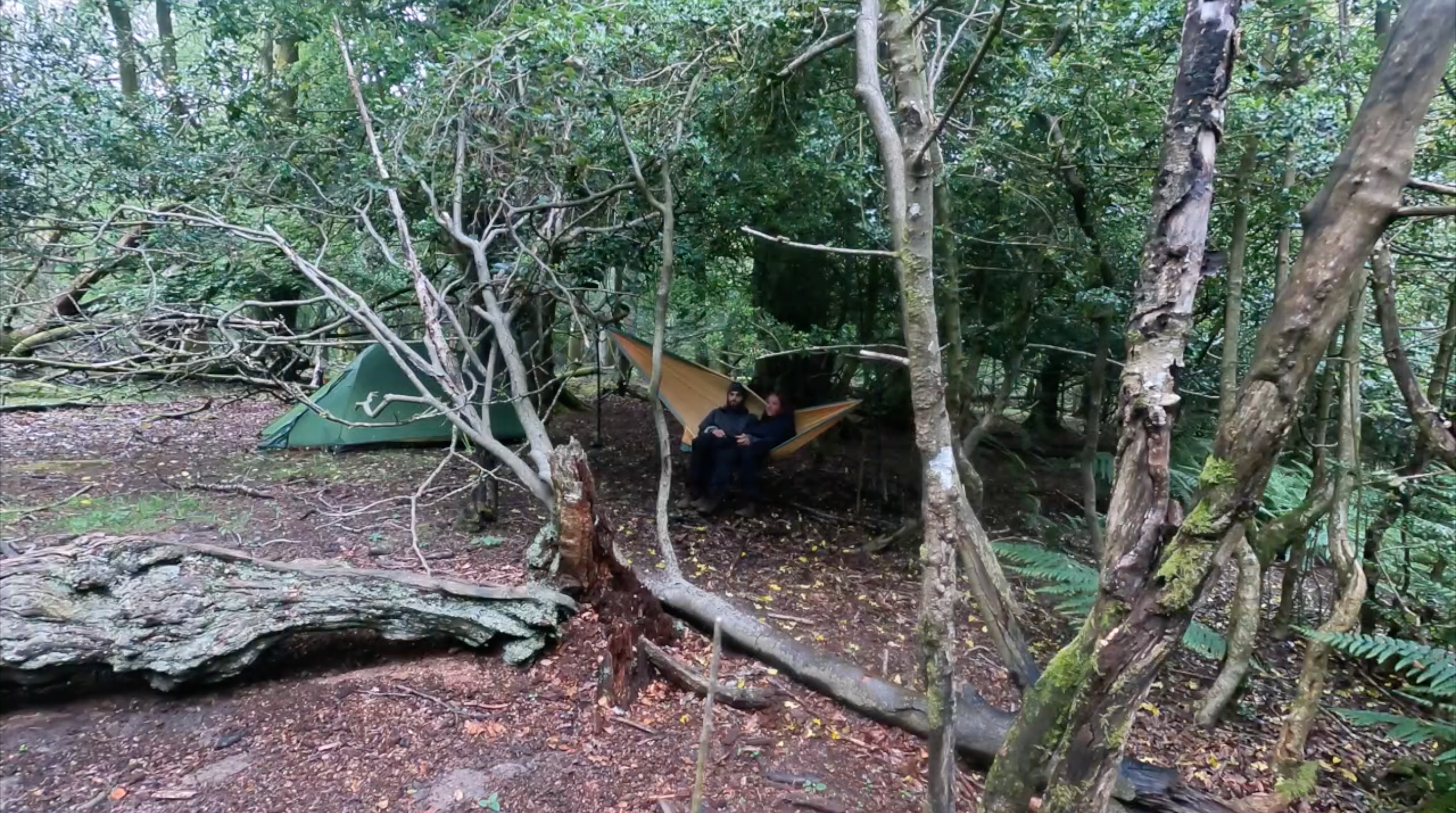 Video | Rainy Weekend Wild Camping In A British Forest
